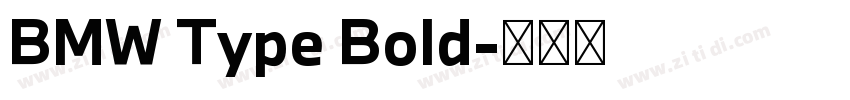 BMW Type Bold字体转换